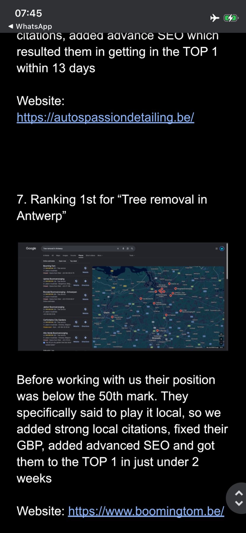 Supplied screenshot of local Google results for tree removal in Antwerp